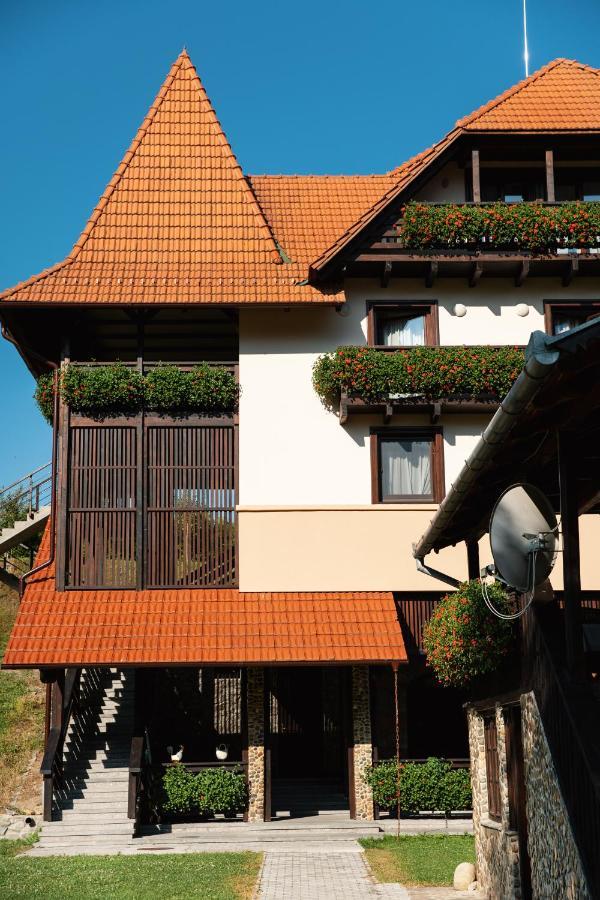 Villa Gherman Sălciua de Jos Exterior foto